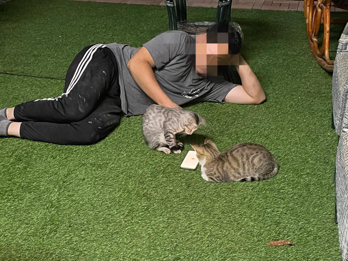Homei Hemei Homestay מראה חיצוני תמונה